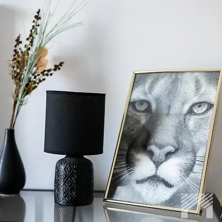 Ilumino Premium By Lookap