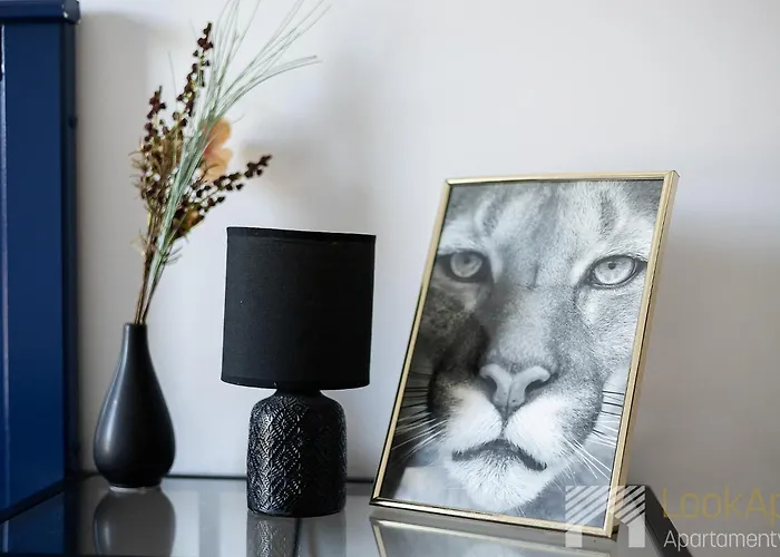 Ilumino Premium By Lookap